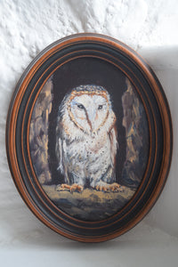 Barn Owl, Vintage Original Oil on Board, Signed B.Barratt