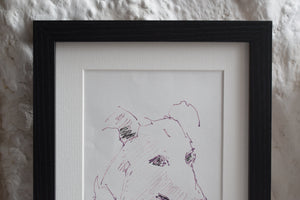 Greyhound Original Hand Drawn Sketch of a Dog, Framed
