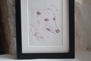 Greyhound Original Hand Drawn Sketch of a Dog, Framed