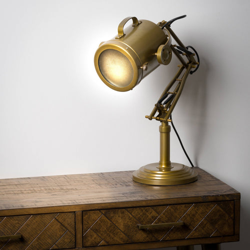 Industrial Adjustable Spot Light Lamp