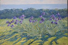 Load image into Gallery viewer, Iris Marazion Original Oil on Canvas