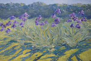Iris Marazion Original Oil on Canvas