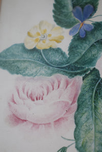 Wild Roses, Violets and Primroses Paintings