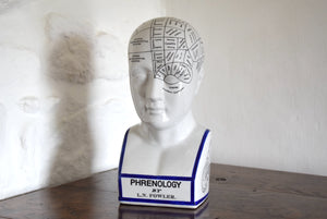 Vintage Phrenology Head