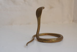  solid brass cobra 