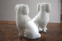 Load image into Gallery viewer, Antique Pair of Staffordshire Pottery Poodles