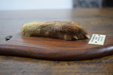 Load image into Gallery viewer, taxidermy fox paw