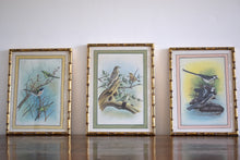 Load image into Gallery viewer, silk bird paintings
