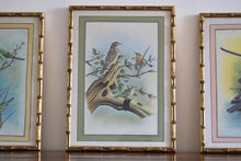 Load image into Gallery viewer, silk bird paintings