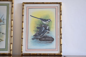 silk bird paintings