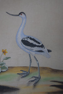 Antique Chinese Oriental Watercolour Painting on Pith Paper