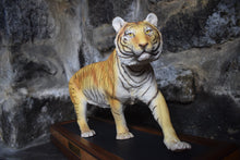 Load image into Gallery viewer, ceramic tiger stood upon wooden plinth