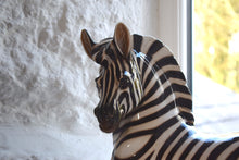 Load image into Gallery viewer, Italian Ceramic Zebra 