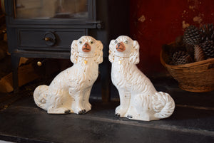 Antique Victorian Staffordshire Dogs 