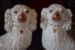 Antique Victorian Staffordshire Dogs 