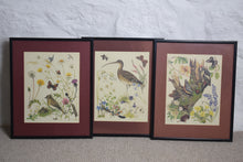 Load image into Gallery viewer, Framed Wildlife Prints