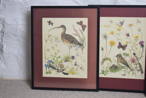 Framed Wildlife Prints