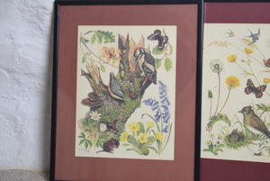 Framed Wildlife Prints