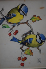 Load image into Gallery viewer, Vintage British Bird Watercolour Paintings